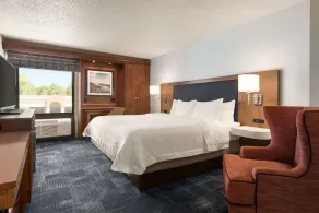 Hampton Inn By Hilton Wausau - Chambre