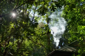Narrows Escape Rainforest Retreat - Room