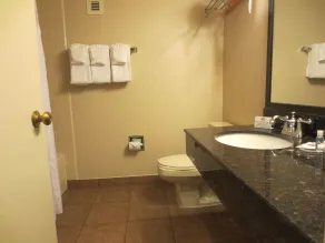 Comfort Inn University Center - Salle de bain