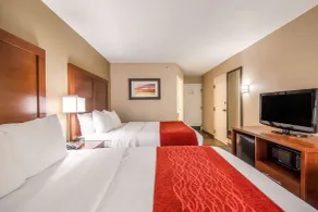 Comfort Inn Greenville - Haywood Mall - Chambre