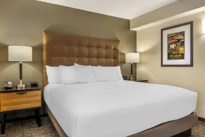 Drury Inn & Suites St. Louis-Southwest - Chambre