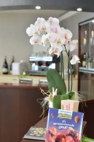 Hotel  Bella  Romagna  - Réception