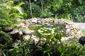Tropical Bliss bed and breakfast - Room