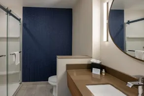 Fairfield by Marriott Inn & Suites Canton Riverstone Parkway - Salle de bain