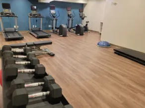 Holiday Inn Express Queens - Maspeth - Salle de remise en forme