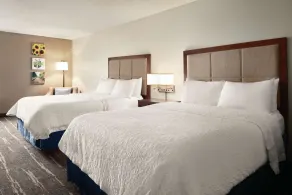 Hampton Inn & Suites Ft. Wayne-North - Chambre