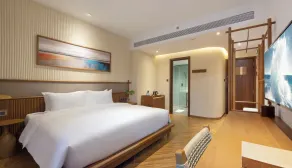Iconic Long Hai Hotel - Room