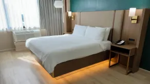 Holiday Inn Houston S - NRG Area - Med Ctr by IHG - Room