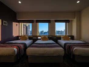 HOTEL MYSTAYS Ueno East - Camera