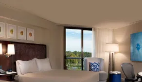 Hilton Orlando Buena Vista Palace - Disney Springs® Area - Rum