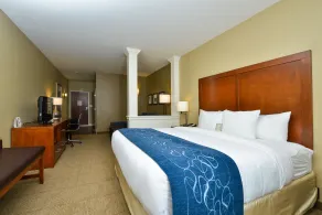 Comfort Suites Airport-University - Chambre
