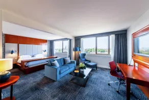 Hilton Strasbourg - Værelse