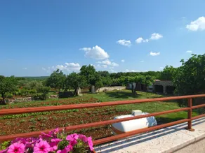 Familienfreundliche Ferienwohnung mit Grill und Terrasse - Ausblick vom Zimmer