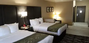 Comfort Suites Kingwood, Humble, New Caney, Houston IAH Airport - Chambre