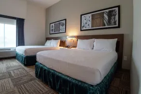 Hilton Garden Inn Spartanburg - Værelse