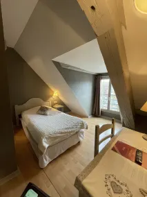 The Originals Boutique, Hôtel de la Balance, Montbéliard - Udsigt fra værelset
