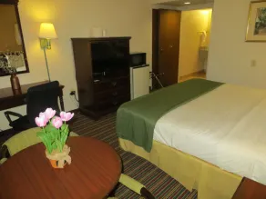 Quality Inn Stone Mountain - Chambre