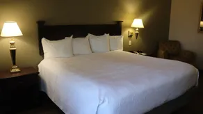 Wingate by Wyndham Peoria - Complimentary Area Shuttle - Chambre