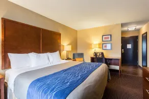Comfort Inn Tupelo Central - Room