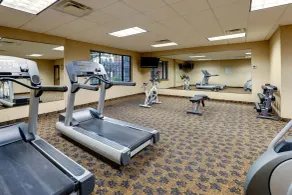 Stoney Creek Hotel Quad Cities - Moline - Salle de remise en forme
