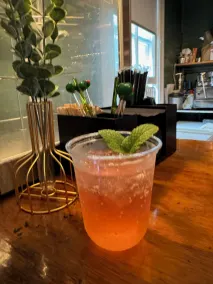 The Balsam Mountain Inn - Resepsjon