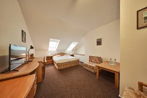 Hotel Adam Trutnov - Rom