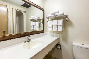 Econo Lodge Inn & Suites Fairview Heights St Louis - Salle de bain