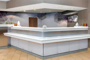 SpringHill Suites Asheville - Réception