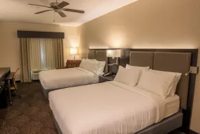 Holiday Inn Trophy Club by IHG - Chambre