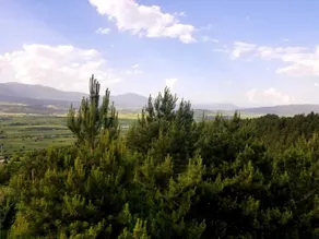 Kartaltepe Hotel - View from room