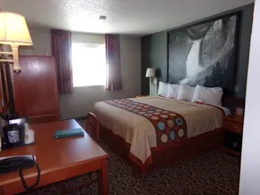 Super 8 by Wyndham Gillette - Chambre