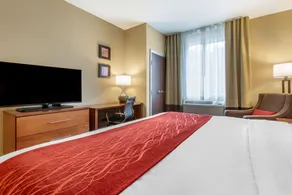 Comfort Inn & Suites Near Mt Rushmore - Chambre