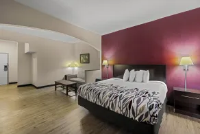 Red Roof Inn & Suites Albany, GA - Room