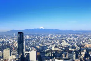 Cerulean Tower Tokyu Hotel, A Pan Pacific Partner Hotel - Vue de la chambre