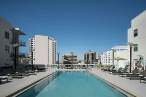 Aloft by Marriott Sarasota - Piscine