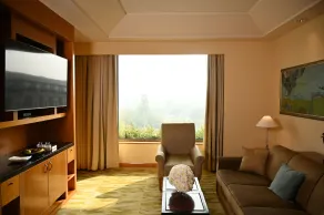 The Grand New Delhi - View from room