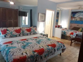 Hotel Casa 69 - Room