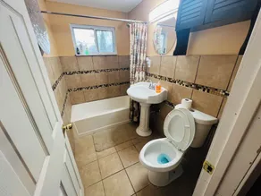 Cozy Downriver home - Bathroom