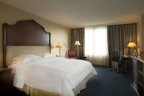 Barceló San Salvador - Room