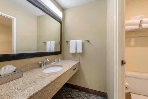 Clarion Hotel Anaheim Resort - Chambre