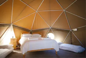 Durrell Wildlife Camp - Værelse