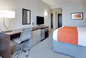 Wingate by Wyndham San Angelo - Chambre