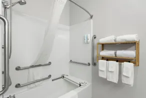 Quality Inn & Suites Niles - Bathroom