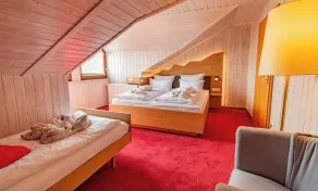 Wellnesshotel Hohenrodt - Chambre