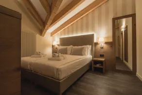 X Alp Hotel - Chambre
