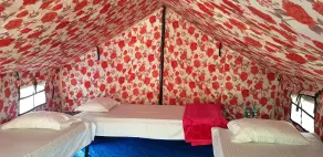 The Raajas - Camp & Resorts - Room