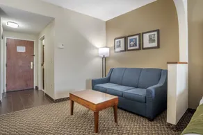 Comfort Suites Tallahassee Capitol - University Area - Chambre