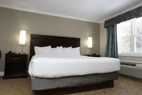 Golden Apple Inn - Room