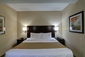 Best Western Plus Bowmanville - Chambre