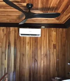 Tropical Magnolia - Room